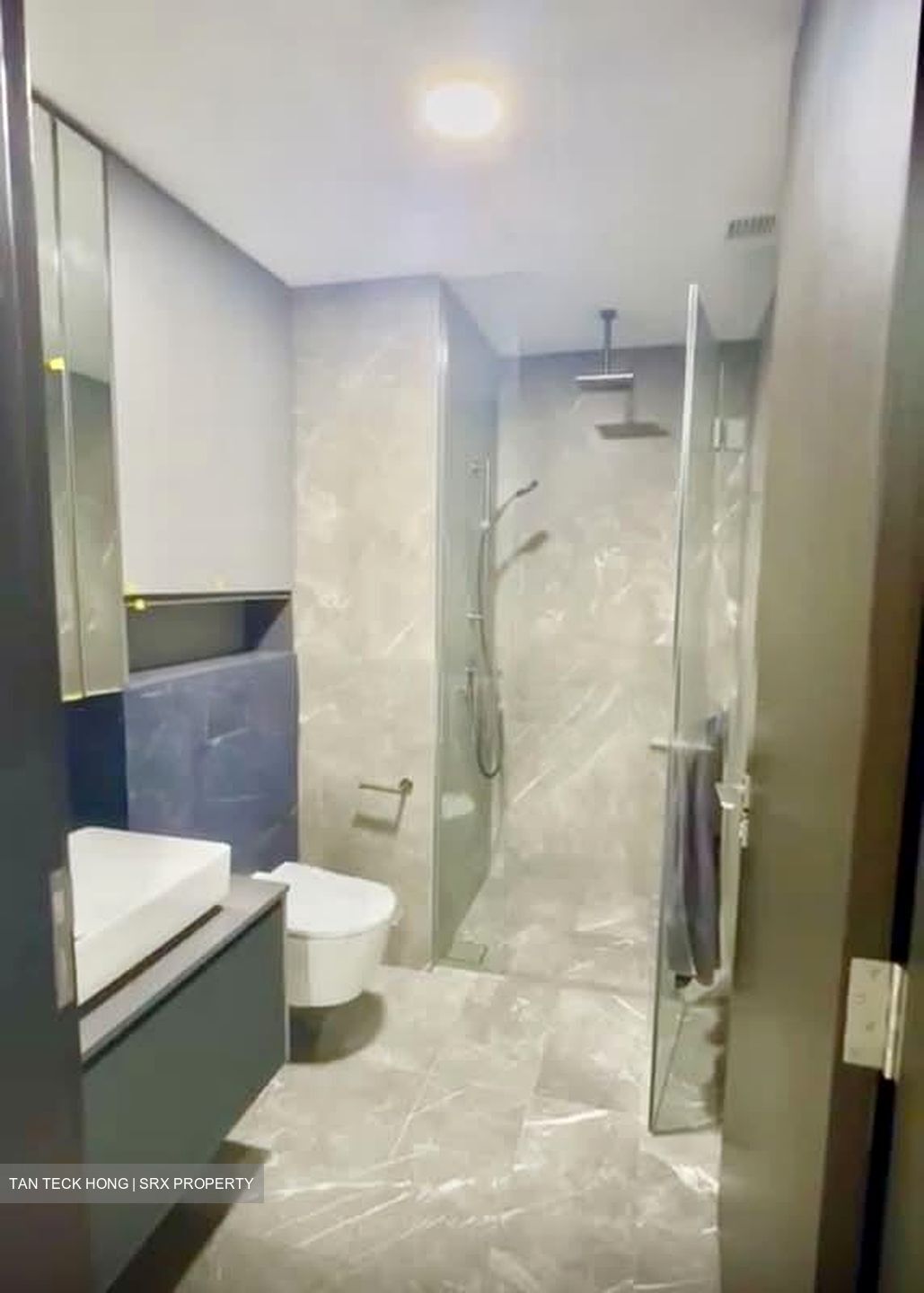Irwell Hill Residences (D9), Apartment #556062761